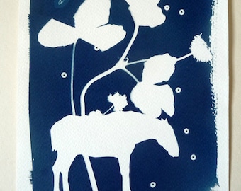 Field, cyanotype