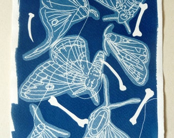 folie du soir, cyanotype