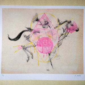 Floral Horse Bones