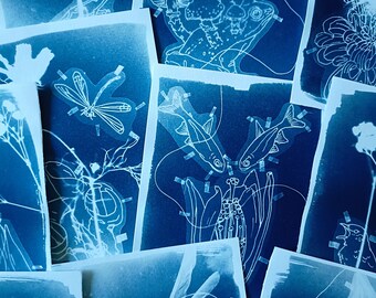 Cartes cyanotypes