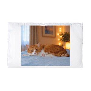 May include: A white pillowcase featuring a centered photographic print of an orange and white tabby cat lying down on a blue textured surface. The cat has orange fur on its back and head with a white chest, paws, and face, resting its head on its front paws.