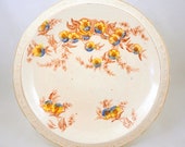 Victorian Ironstone Platter, 19th Century Brown Underglaze Transferware Relief Moulded Bread Plate with Yellow Blue Prunus Flowers