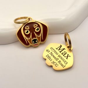 May include: Two gold-colored dog tags. One tag is shaped like a dachshund's head, with brown and tan enamel details. The other tag is gold with the name "Max" and contact information engraved. Both tags have a gold ring for attachment.