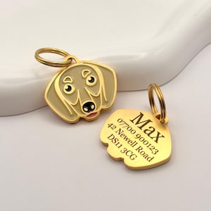 May include: Two gold-colored dog tags. One tag is shaped like a dog's head with black eyes, a black nose, and a pink tongue. The other tag has the name "Max" and contact information engraved on it.