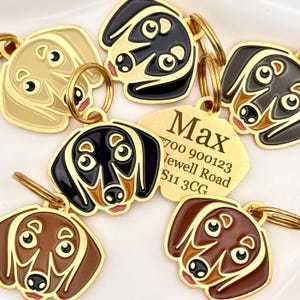 May include: Close-up of several dog-shaped pet tags in various colors, including black, brown, and tan, with gold-colored trim. One tag has the name "Max" and an address engraved on it. Each tag has a gold-colored ring for attachment.