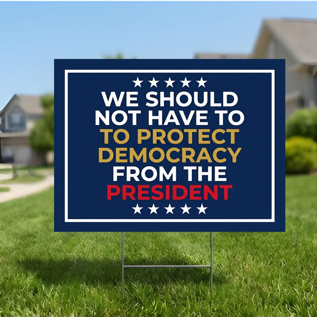 Protect Us Sign Protect Democracy Yard Sign 24x18 Patriotic Protest Lawn Decor ...
