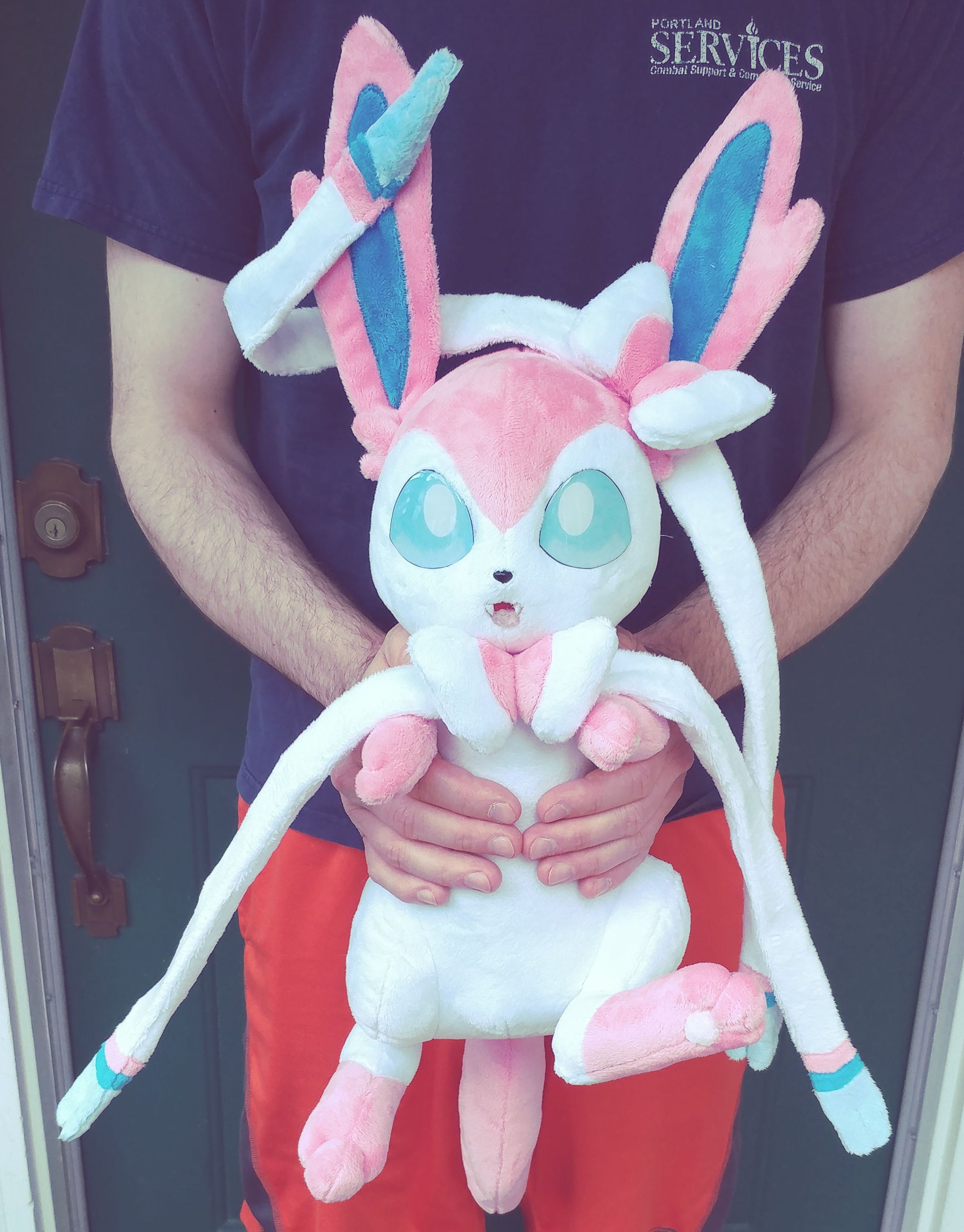 Online Exclusive Sylveon Plush Bundle