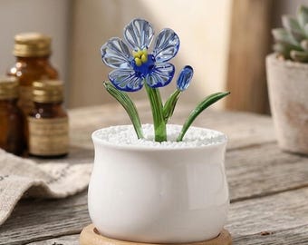 Maceta de cristal hecha a mano, adorable mini decoración de escritorio, planta estética para la oficina, regalo único para ella, idea de regalo de cumpleaños, decoración del hogar