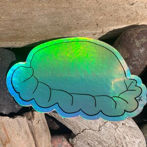Holographic sticker | pasty | waterproof  | water bottle sticker | Upper Peninsula | Michigan | decal