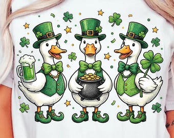St Patrick Goose Png, St Patricks Day Png, drôle d'oie verte idiote, Design coloré par sublimation, trèfle irlandais Png (TÉLÉCHARGEMENT NUMÉRIQUE)