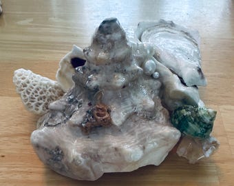 Oyster Shell Jewelry Holder, Mother’s Day Gift for Mom, Coastal Ring Dish, Shell Trinket Dish, Cape Cod Keepsake