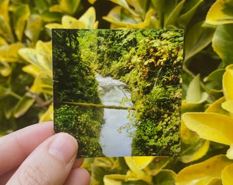 Leaf Canyon 2.5" Holographic Sticker | Landscape Photography Stickers | Square Stickers | Photo Sticker | Water Bottle Stickers