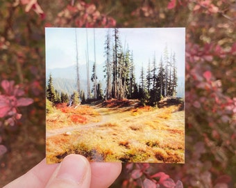 Resplendent Meadow 2.5" Holographic Sticker | Landscape Photography Stickers | Square Stickers | Photo Sticker | Water Bottle Stickers