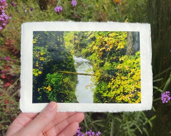 Deckled Edge Art Prints — Leaf Canyon