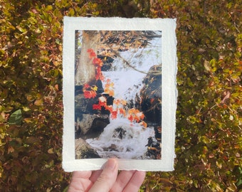 Deckled Edge Art Prints — Flowing Foliage