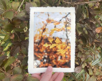 Deckled Edge Art Prints — Golden Leaves
