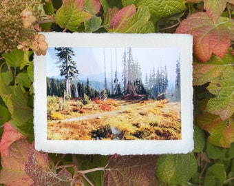 Deckled Edge Art Prints — Resplendent Meadow