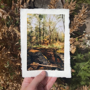 Deckled Edge Art Prints — Layered & Leafy