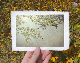 Deckled Edge Art Prints — Sand Garden