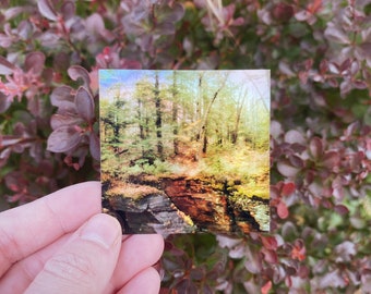 Layered & Leafy 2.5" Holographic Sticker | Landscape Photography Stickers | Square Stickers | Photo Sticker | Water Bottle Stickers