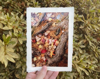 Deckled Edge Art Prints — Roots & Leaves