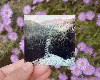 Persistence 2.5" Holographic Sticker | Landscape Photography Stickers | Square Stickers | Photo Sticker | Water Bottle Stickers