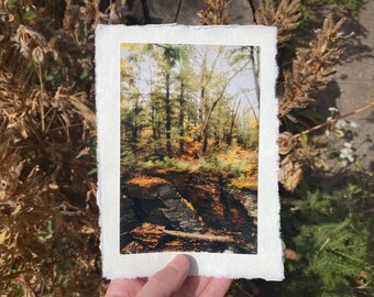 Deckled Edge Art Prints — Layered & Leafy