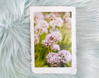 Deckled Edge Art Prints — "Flight of Fancy"