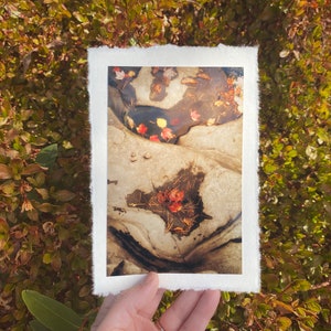 Deckled Edge Art Prints — Autumn Contours