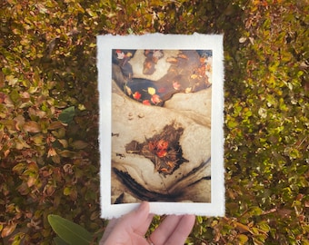 Deckled Edge Art Prints — Autumn Contours