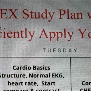 以下が含まれることがあります： NCLEX試験の6週間学習プラン。内容は「ケアマネジメント」や「心臓の基礎」など。知識を理解し、応用することを促すテキストです。