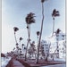 see more listings in the South Beach Art Deco section