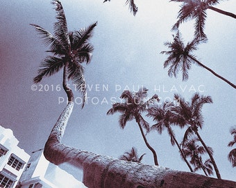 Wide Palms South Beach Tropical Art Deco Vintage Miami Architecture Signed Photograph