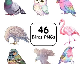 Watercolor Bird PNG Bundle | Realistic Owl, Flamingo, Parrot, Eagle Clipart (Digital Download)