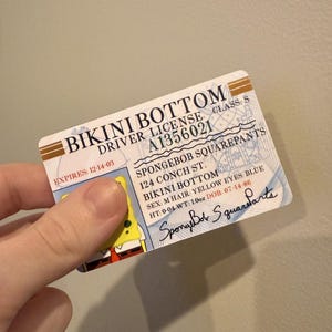 Może przedstawiać: Licencja kierowcy z Bikini Dolne, z nazwiskiem "Spongebob Kanciastoporty". Karta zawiera takie szczegóły jak adres, kolor oczu i podpis. Data ważności to 12-14-03.