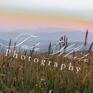 Peut inclure: Photographie de paysage avec un champ d'herbes hautes au premier plan, des montagnes et un coucher de soleil en arrière-plan. Le texte "Tate White Photography" est superposé en cursive.