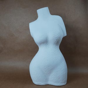 May include: A white, textured bust sculpture of a female form. The sculpture is a torso, with the head and arms missing. The bust has a smooth, curved shape and is set against a brown background.