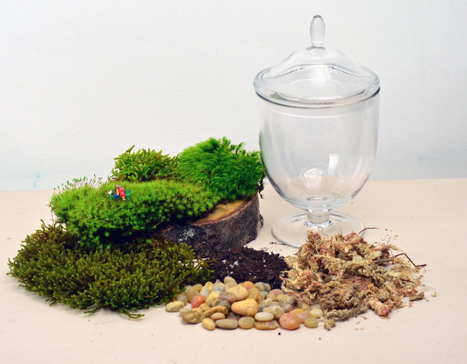 DIY Terrarium kit // Live Moss // Little People // Glass Etsy