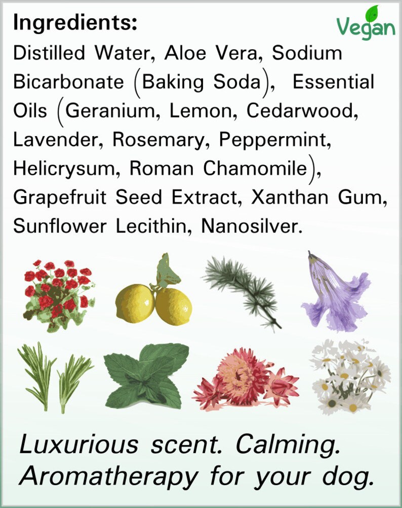 Silver Shield Dog & Bedding Spray Deodorizing Sanitizer With Colloidal Silver for Dogs Etsy