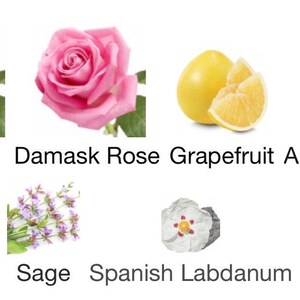 May include: An image showcasing various fragrance ingredients. It includes two pink roses labeled "May Rose" and "Damask Rose", a grapefruit, amberwood, sage, and Spanish Labdanum. The image is a visual representation of the components used in a fragrance.