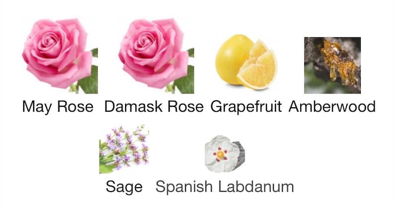 May include: An image showcasing various fragrance ingredients. It includes two pink roses labeled "May Rose" and "Damask Rose", a grapefruit, amberwood, sage, and Spanish Labdanum. The image is a visual representation of the components used in a fragrance.