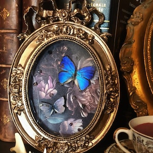 Puede incluir: Un marco ovalado de tono dorado con detalles ornamentales de flores y un lazo en la parte superior. Dentro del marco hay un fondo oscuro con un patrón floral impreso y dos especímenes de mariposas, una grande azul brillante y otra más pequeña azul pálido.