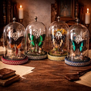 Può includere: Quattro campane di vetro con farfalle in mostra. Ogni cupola presenta una farfalla diversa, su uno sfondo decorativo. Le basi sono decorate con vari bordi, e la scena è ambientata su una superficie di legno.