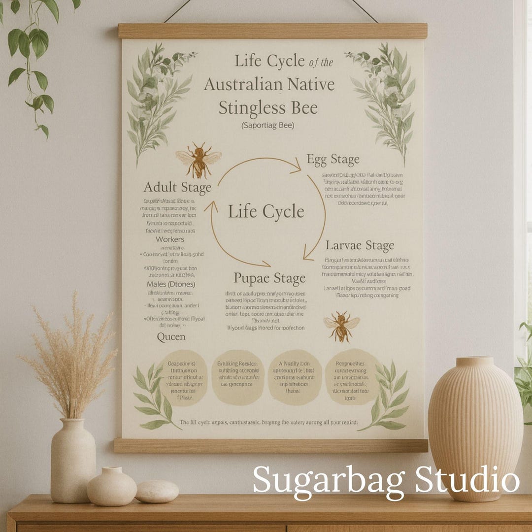 Stingless Bee Life Cycle Poster • Australian Native Bee Print (digital ...