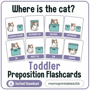 May include: A set of eight educational flashcards titled Where is the cat? featuring a calico cat and a teal box in various positions. The cards illustrate prepositions including across from, in front of, behind, between, in, next to, on, and under.