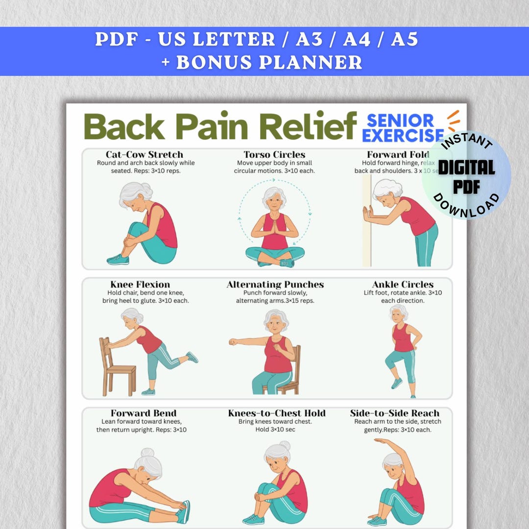 Back Pain Relief Exercise for Seniors Printable, Elderly Back Stretch ...