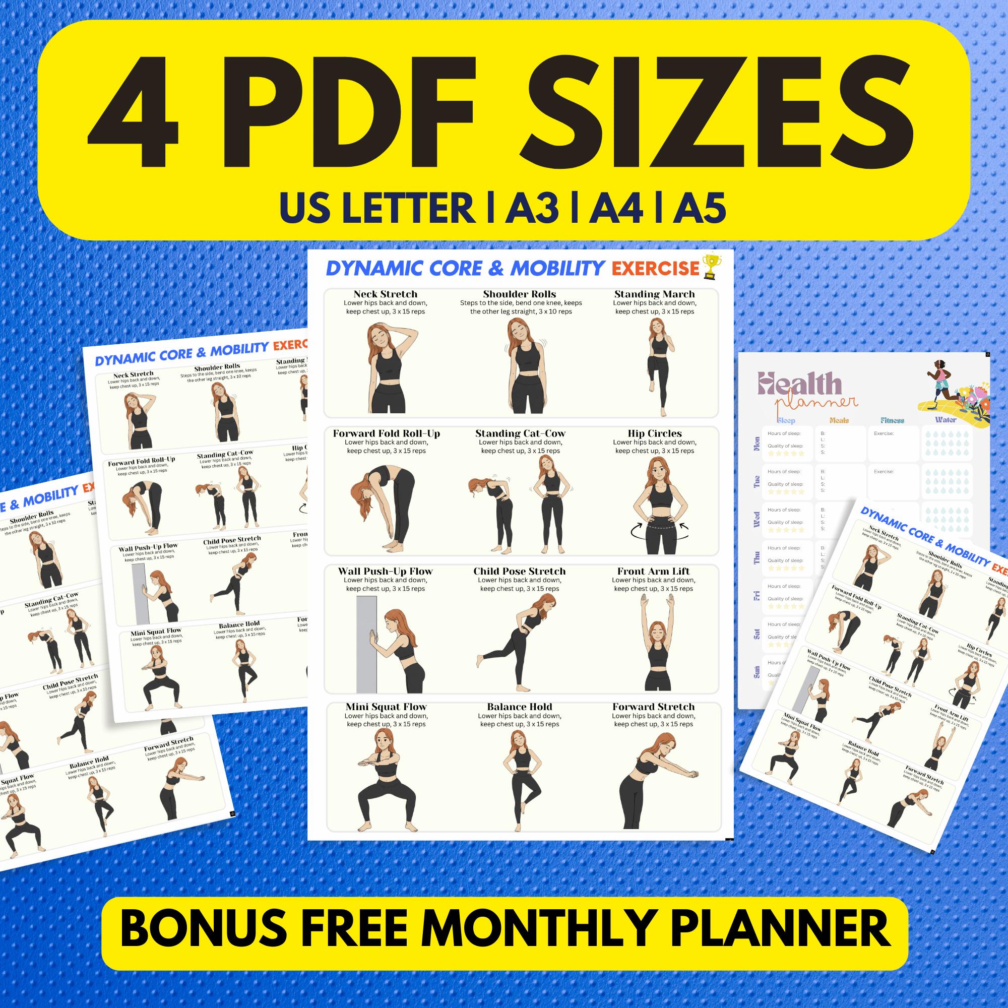 Dynamic Core & Mobility Exercises Chart, Printable Home Fitness Poster ...