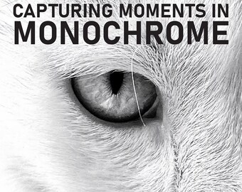 Capturing Moments in Monochrome: A Guide to Black and White Photography with Mobile Phones Master Stunning Shots Using Your Smartphone Today