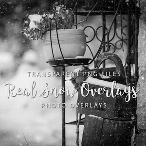 Real Snow Photo Overlays: 25 Winter PNG Textures (3600x3600)