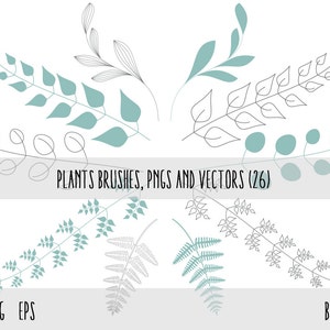 Plants Clip Art, Photoshop brushes , Plants Transparent PNG files and vector files EPS, Floral Design Elements, Plants Design Elements image 4